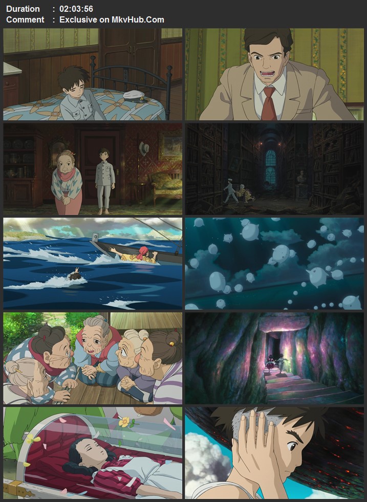 The Boy and the Heron 2023 English 720p 1080p WEB-DL x264 ESubs Download