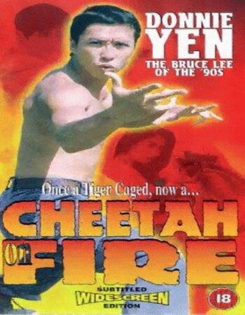 Cheetah on Fire 1992 Dual Audio Hindi ORG 720p 480p BluRay x264 ESubs Full Movie Download