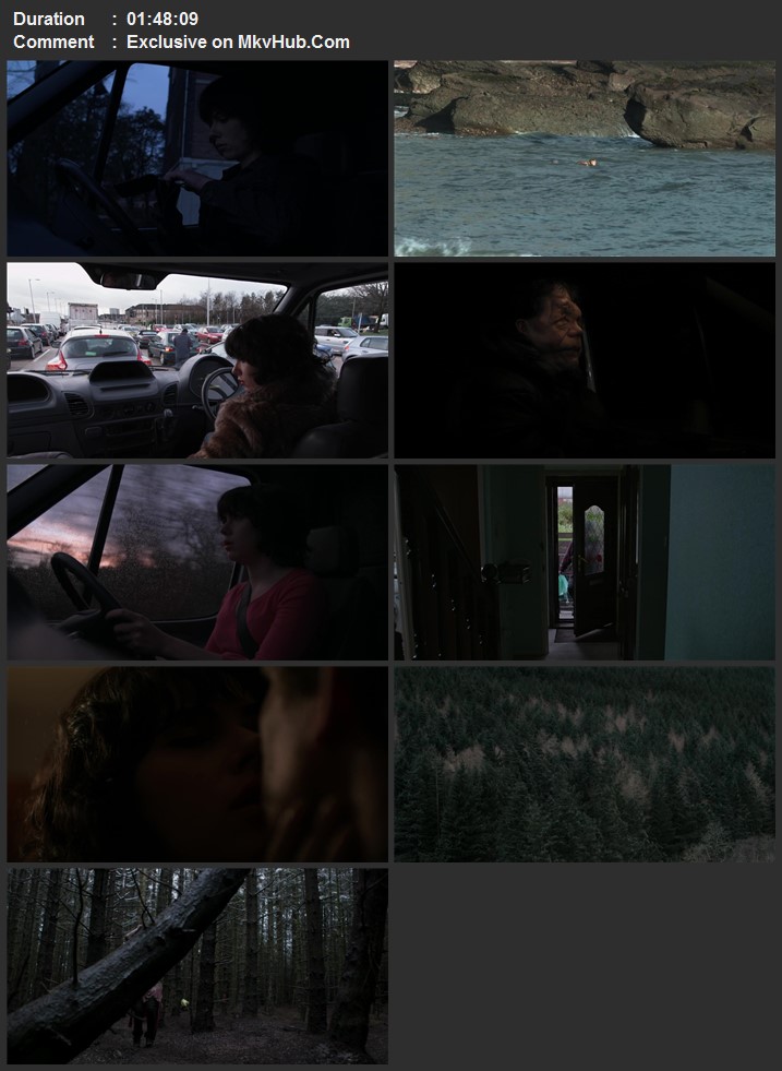 Under the Skin 2013 English 720p 1080p BluRay x264 ESubs Download