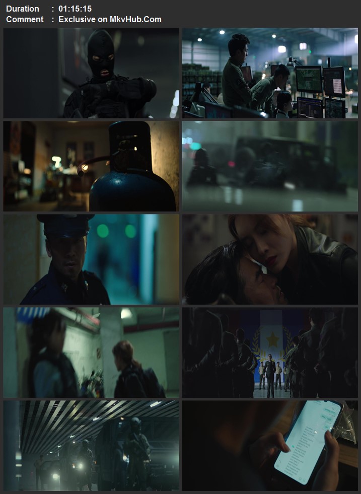 The Great Arms Robbery 2022 Chinese 720p 1080p WEB-DL x264 ESubs Download