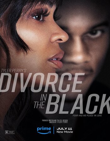 Tyler Perrys Divorce in the Black Dual Audio [Hindi-English] ORG 5.1 720p 1080p WEB-DL x264 ESubs