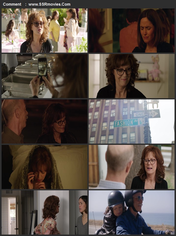 The Meddler 2015 Dual Audio Hindi (ORG 5.1) 1080p 720p 480p BluRay x264 ESubs Full Movie Download