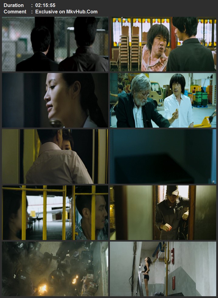 The Thieves 2012 Korean, Cantonese, English, Mandarin, Japanese 720p 1080p BluRay x264 ESubs Download