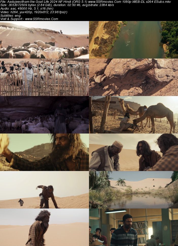 Aadujeevitham: The Goat Life 2024 NF Hindi (ORG 5.1) 1080p 720p 480p WEB-DL x264 ESubs Full Movie Download