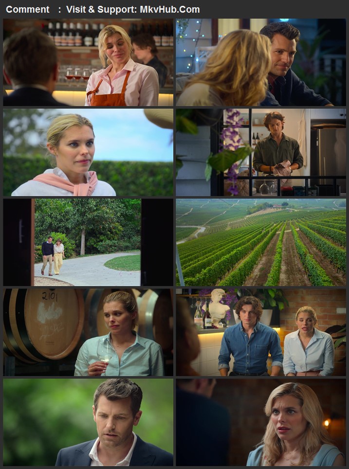 Romance at the Vineyard 2023 English 720p 1080p WEB-DL ESubs Download