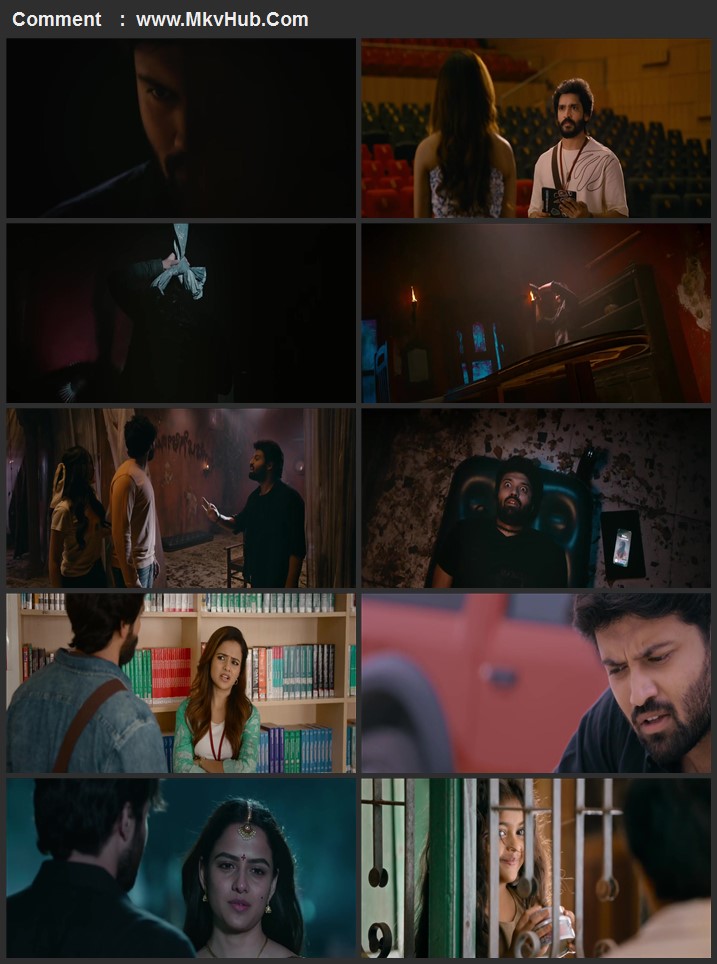 Love Me If You Dare 2024 Hindi [ORG 5.1] 720p 1080p WEB-DL ESubs Download