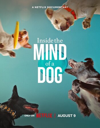 Inside the Mind of a Dog 2024 Dual Audio Hindi (ORG 5.1) 1080p 720p 480p WEB-DL x264 ESubs ESubs Full Movie Download