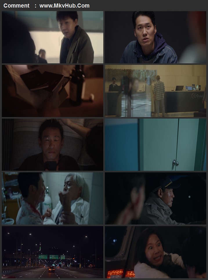 Mission Cross 2024 Dual Audio [Hindi-Korean] 720p 1080p WEB-DL ESubs Download