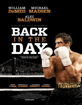 Back in the Day (2016) Hindi ORG Dual Audio 720p , 480p HDRip ESubs