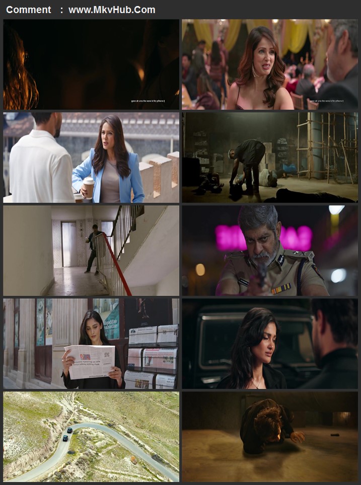 Ruslaan 2024 Hindi [ORG 5.1] 720p 1080p WEB-DL ESubs Download