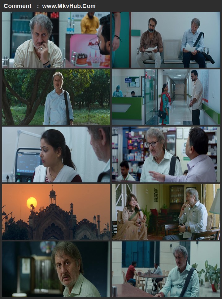 The Signature 2024 Hindi [ORG 5.1] 720p 1080p WEB-DL ESubs Download