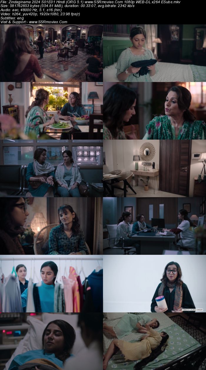 Zindaginama 2024 S01 Complete Hindi (ORG 5.1) 1080p 720p 480p WEB-DL x264 ESubs Download