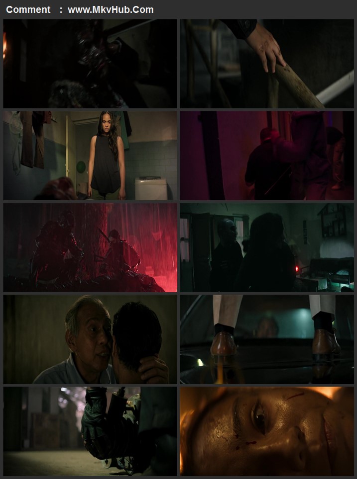 The Shadow Strays 2024 English [ORG 5.1] 720p 1080p WEB-DL ESubs Download