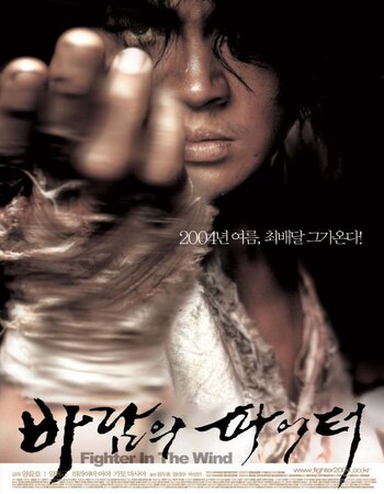 Fighter in the Wind 2004 Dual Audio [Hindi ORG - Korean ORG] BluRay x264 Full Movie Download