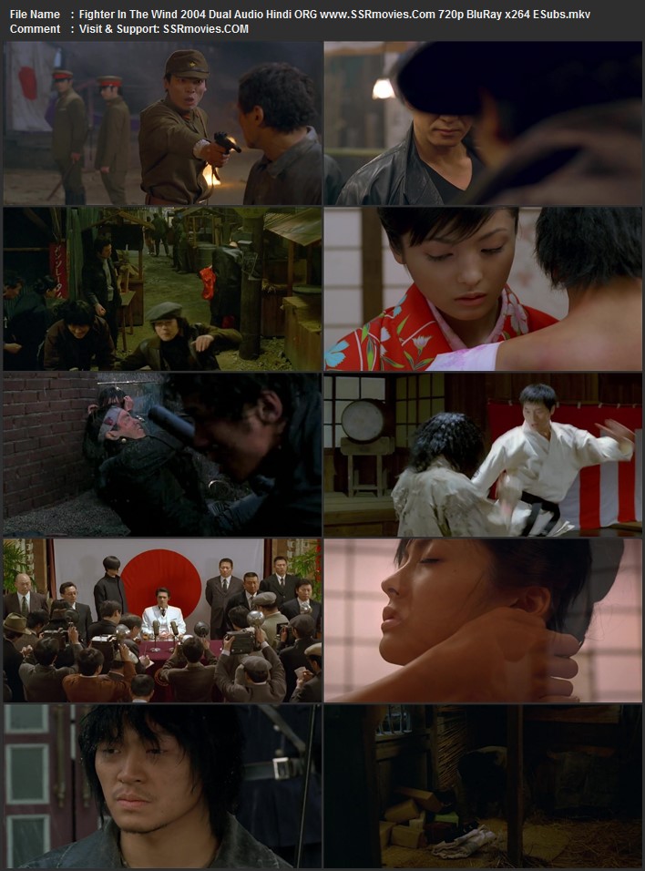 Fighter in the Wind 2004 Dual Audio [Hindi ORG - Korean ORG] BluRay x264 Full Movie Download