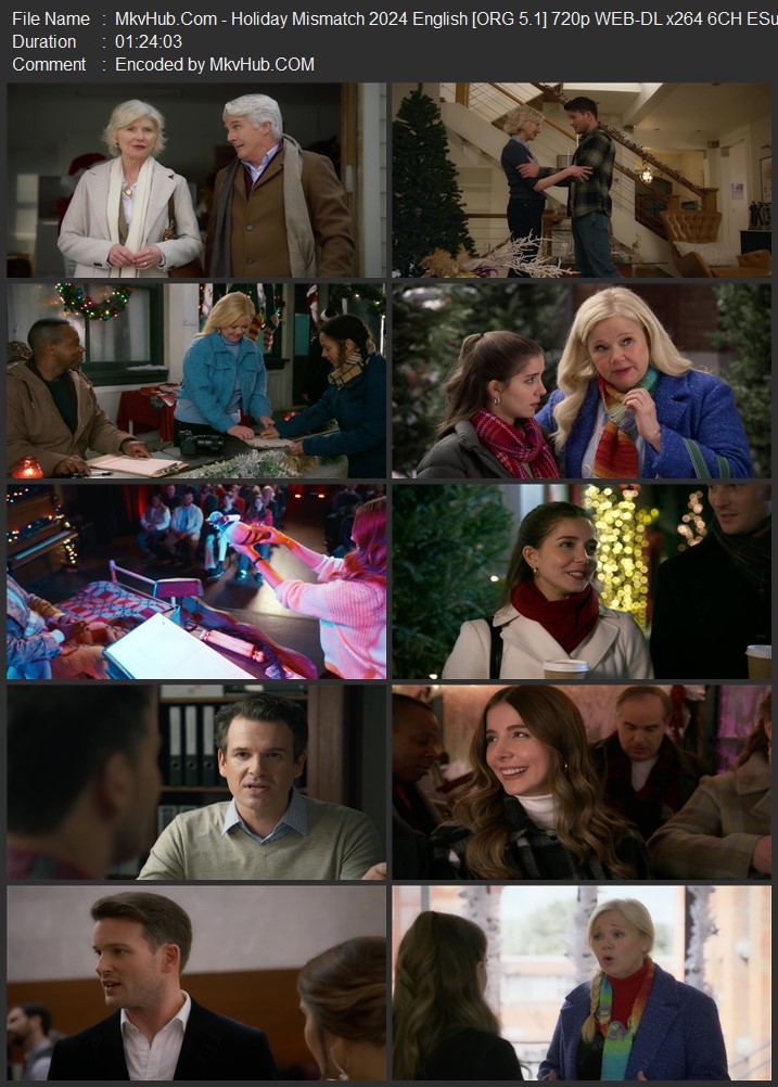 Holiday Mismatch 2024 English [ORG 5.1] 720p 1080p WEB-DL ESubs Download