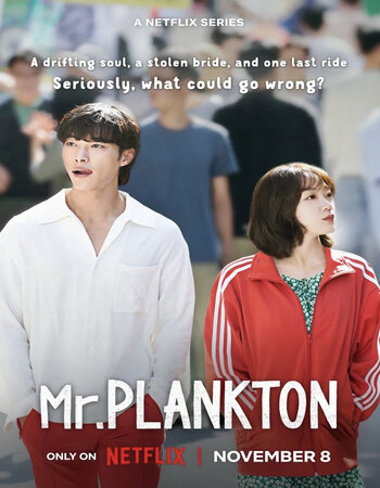 Mr Plankton 2024 S01 Complete NF Dual Audio Hindi (ORG 5.1) 1080p 720p 480p WEB-DL x264 Multi Subs Download