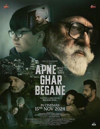 Apne Ghar Begane 2024 Punjabi (Cleaned) 1080p 720p 480p Pre-DVDRip x264 ESubs Full Movie Download