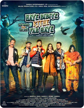 Haye Bibiye Kithe Fas Gaye 2024 Punjabi (ORG 5.1) 1080p 720p 480p WEB-DL x264 ESubs Full Movie Download