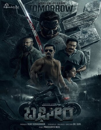 Bagheera 2024 Hindi (HQ-Dub) 1080p 720p 480p WEB-DL x264 ESubs Full Movie Download