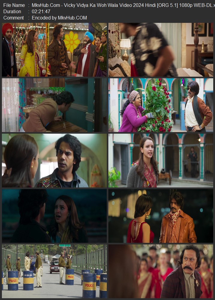 Vicky Vidya Ka Woh Wala Video 2024 Hindi [ORG 5.1] 720p 1080p WEB-DL ESubs Download