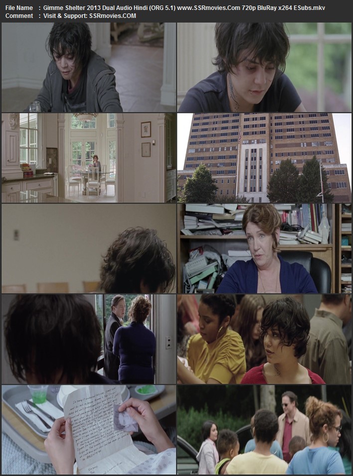 Gimme Shelter 2013 Dual Audio Hindi (ORG 5.1) 1080p 720p 480p BluRay x264 ESubs Full Movie Download