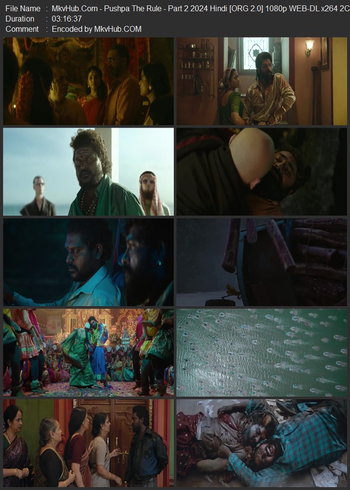 Pushpa: The Rule - Part 2 2024 Hindi [ORG 2.0] 720p 1080p WEB-DL 5GB Download