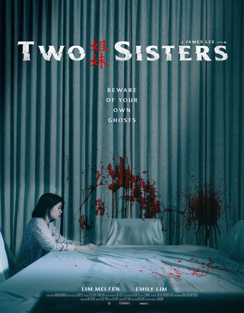 Two Sisters 2019 Dual Audio Hindi (ORG) 720p 480p WEB-DL x264 ESubs Full Movie Download