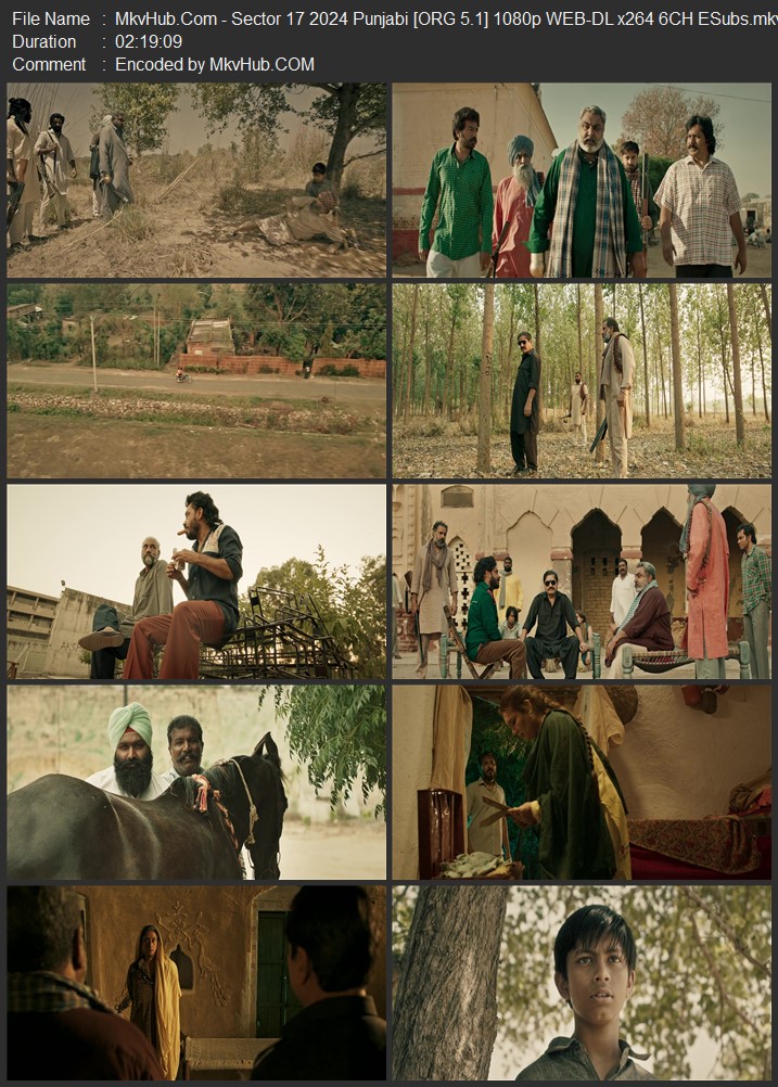 Sector 17 2024 Punjabi [ORG 5.1] 720p 1080p WEB-DL ESubs Download