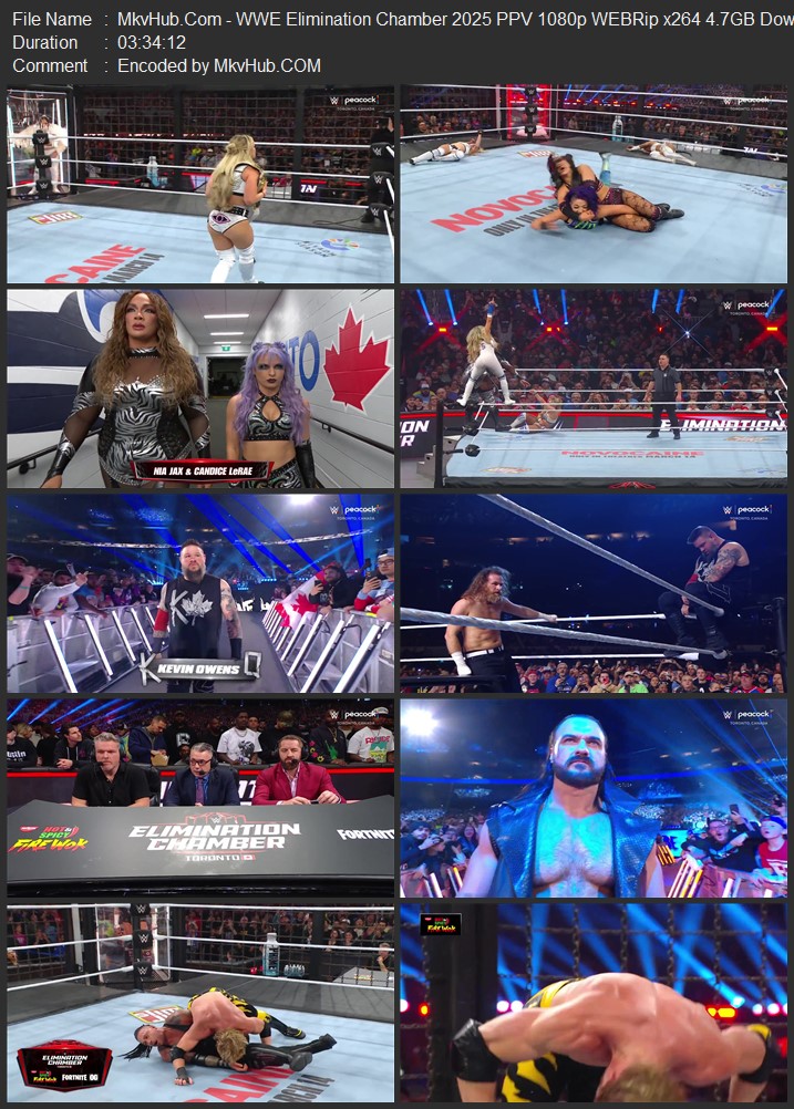 WWE Elimination Chamber 2025 PPV 720p 1080p WEBRip x264 7GB Download