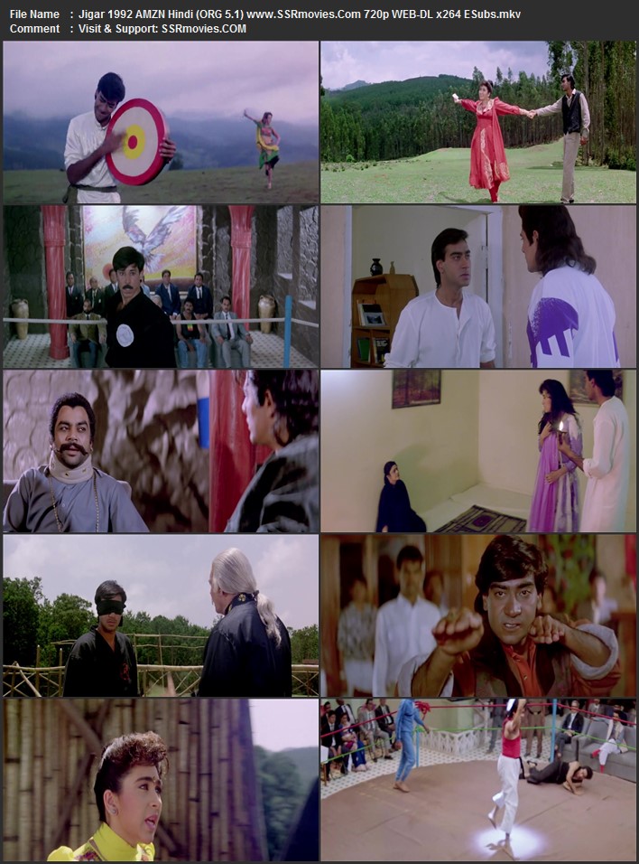 Courage 1992 Hindi (ORG 5.1) 1080p 720p 480p WEB-DL x264 ESubs Full Movie Download