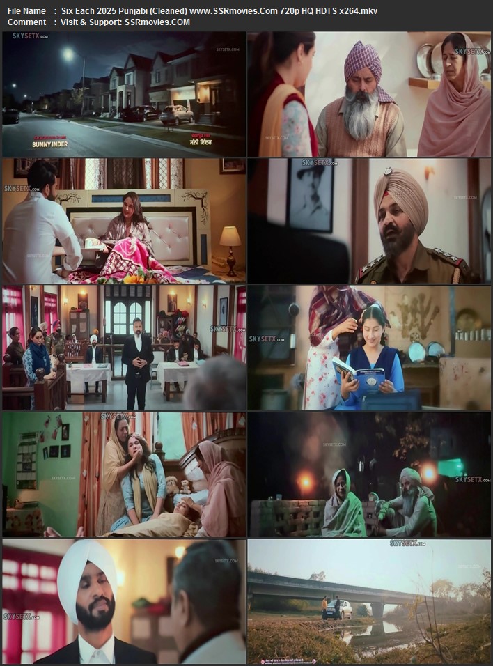  Punjabi (Cleaned) 1080p 720p 480p HQ HDTS x264 ESubs Full Movie Download