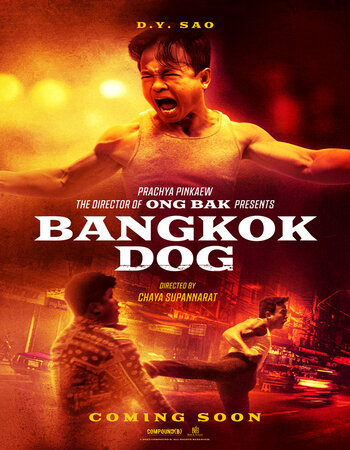 Bangkok Dog 2024 English [ORG 5.1] 720p 1080p WEB-DL ESubs