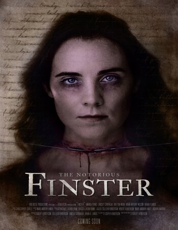 The Notorious Finster 2024 English [ORG 5.1] 720p 1080p WEB-DL ESubs