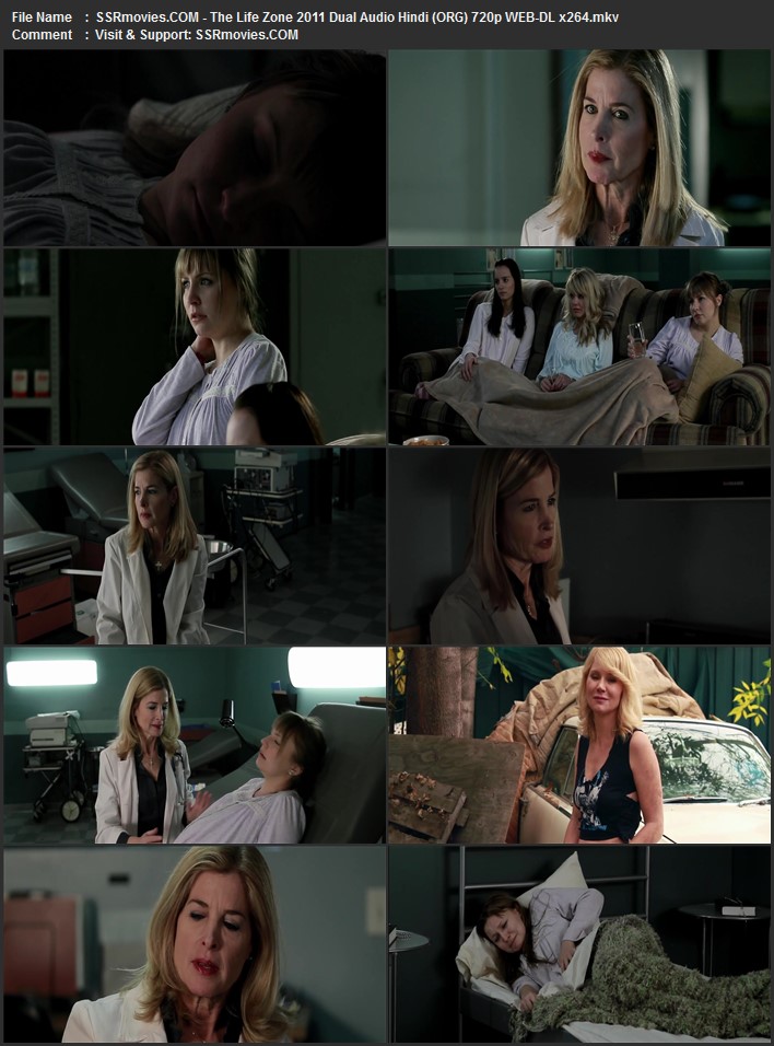The Life Zone 2011 Dual Audio Hindi (ORG) 720p 480p WEB-DL x264 ESubs Full Movie Download