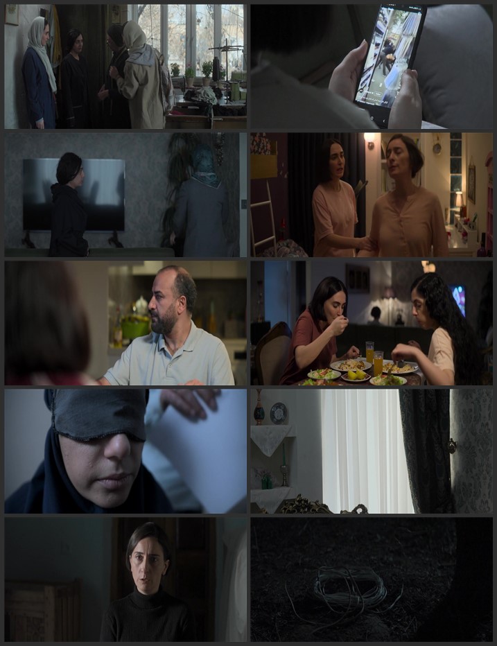 The Seed of the Sacred Fig 2024 Hindi [ORG 5.1] 720p 1080p BluRay ESubs Download