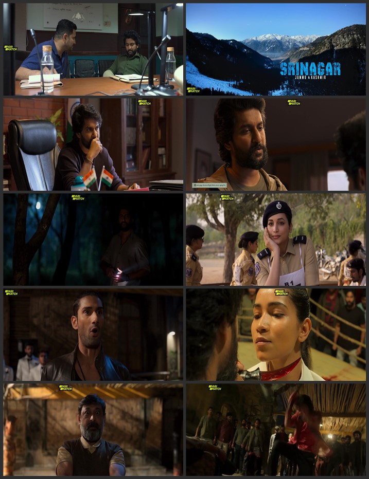 HIT: The 3rd Case 2025 Hindi [ORG 2.0] 720p 1080p HDRip ESubs Download