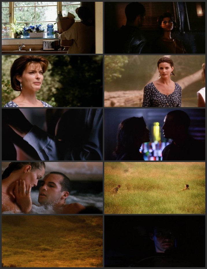 Lake Consequence 1993 UNRATED Dual Audio [Hindi-English] ORG 2.0 720p DVDRip ESubs Download