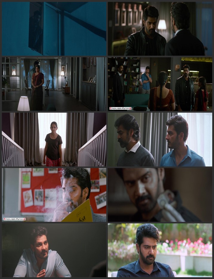 Blind Spot 2025 Dual Audio [Hindi-Telugu] ORG 2.0 720p 1080p WEB-DL ESubs Download