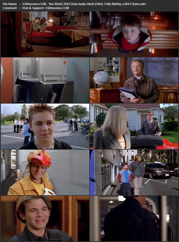You Wish! 2003 Dual Audio Hindi (ORG) 720p 480p BluRay x264 ESubs Full Movie Download