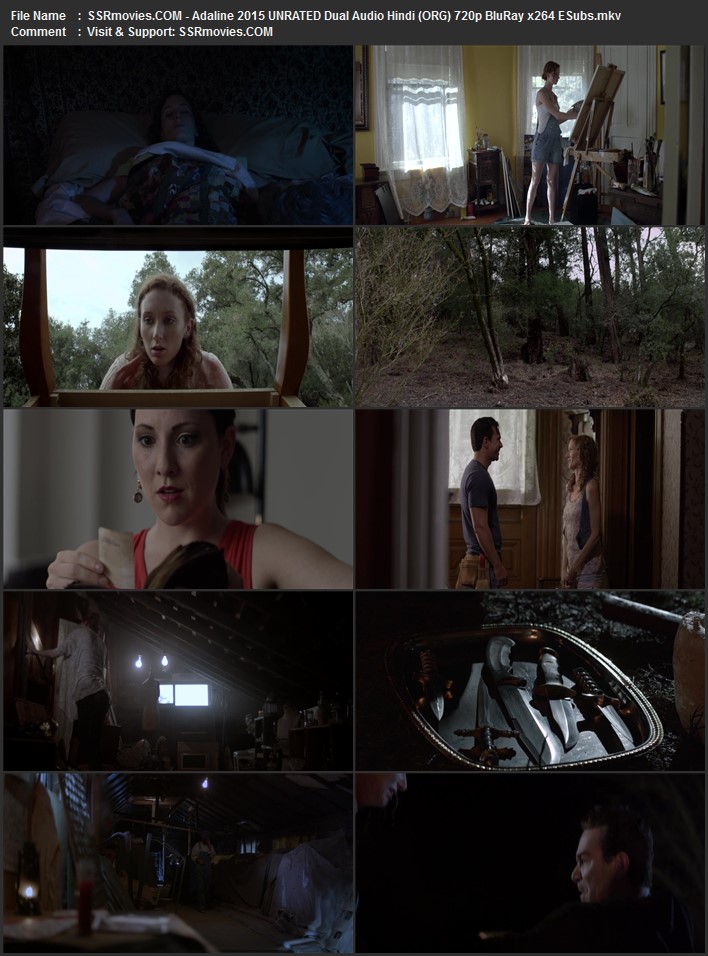 The Age of Adaline 2015 Dual Audio Hindi (ORG) 720p 480p WEB-DL x264 ESubs Full Movie Download