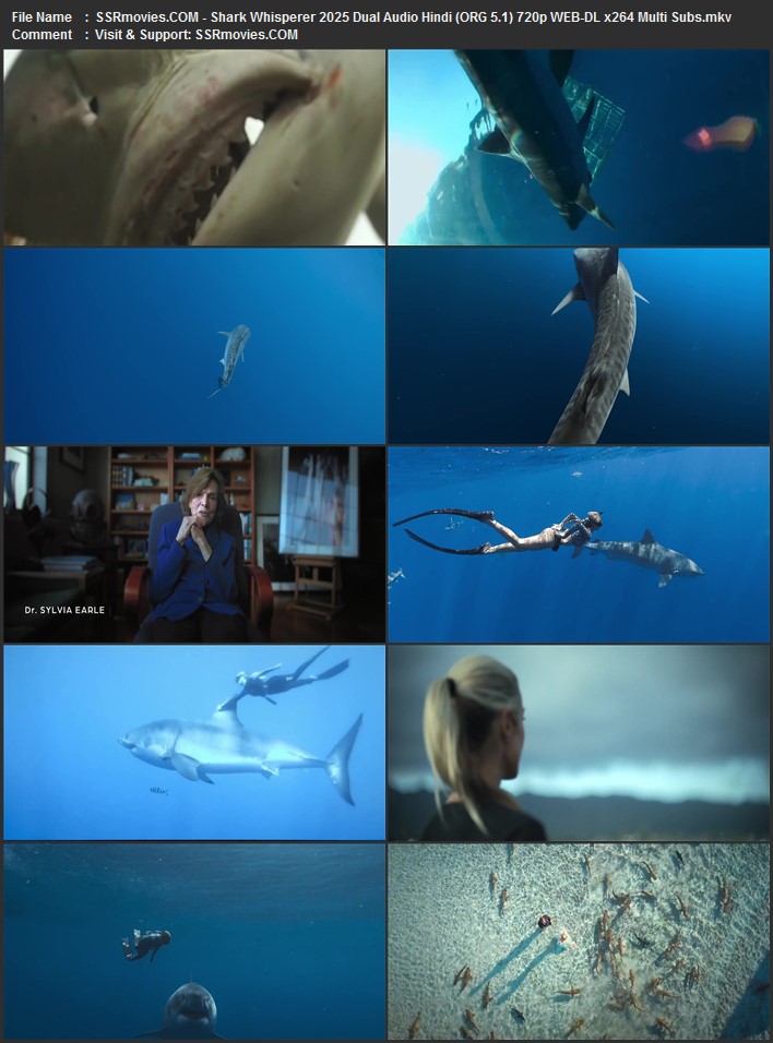 Shark Whisperer 2025 English 1080p 720p 480p WEB-DL x264 ESubs Full Movie Download