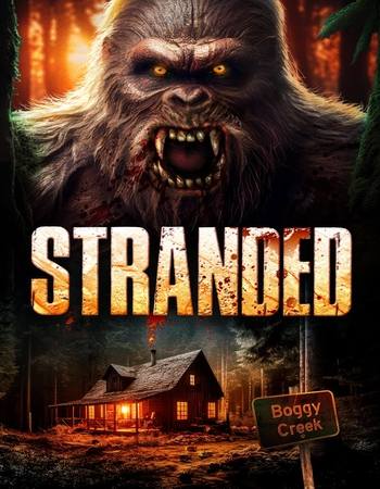 Stranded 2023 Dual Audio Hindi (ORG) 720p 480p WEB-DL x264 ESubs Full Movie Download