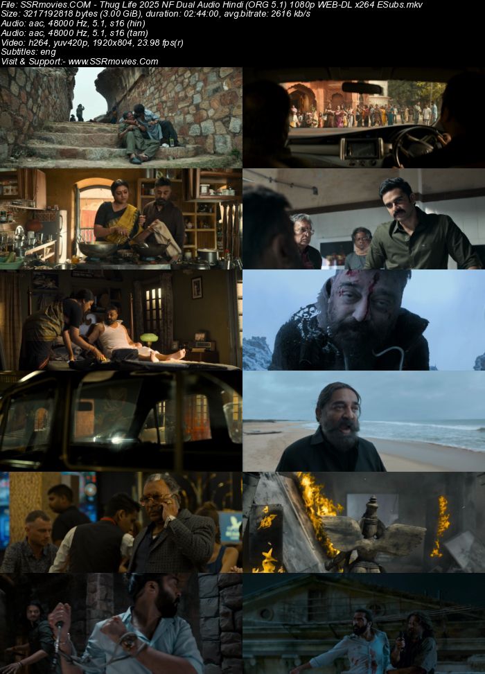 Thug Life 2025 NF Dual Audio Hindi (ORG 5.1) 1080p 720p 480p WEB-DL x264 ESubs Full Movie Download