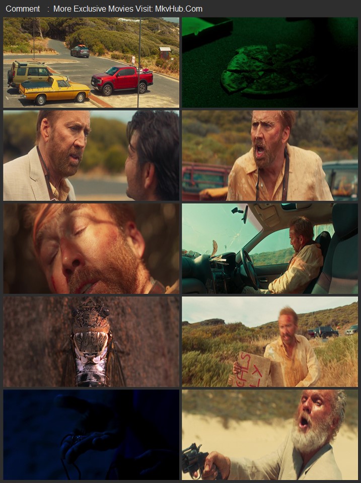 The Surfer 2024 English [ORG 5.1] 720p 1080p WEB-DL ESubs Download