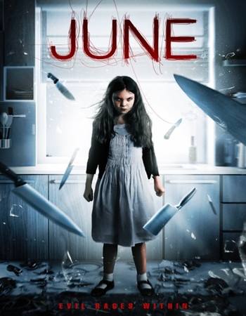 June 2015 Dual Audio Hindi (ORG) 720p 480p BluRay x264 ESubs Full Movie Download