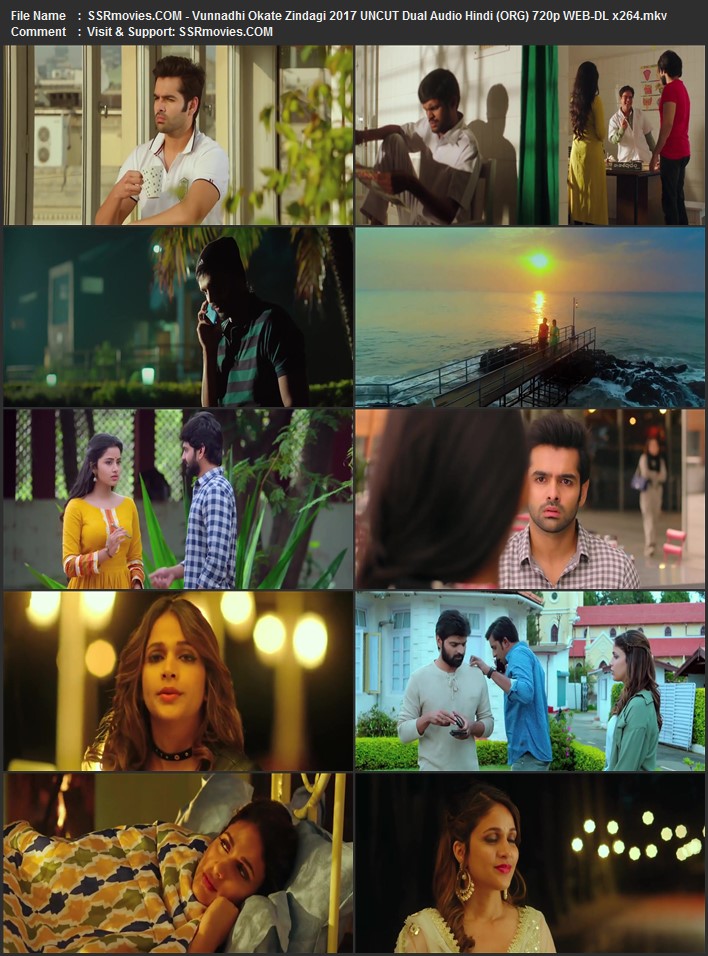 Vunnadhi Okate Zindagi 2017 Dual Audio Hindi (ORG) 1080p 720p 480p WEB-DL x264 ESubs Full Movie Download
