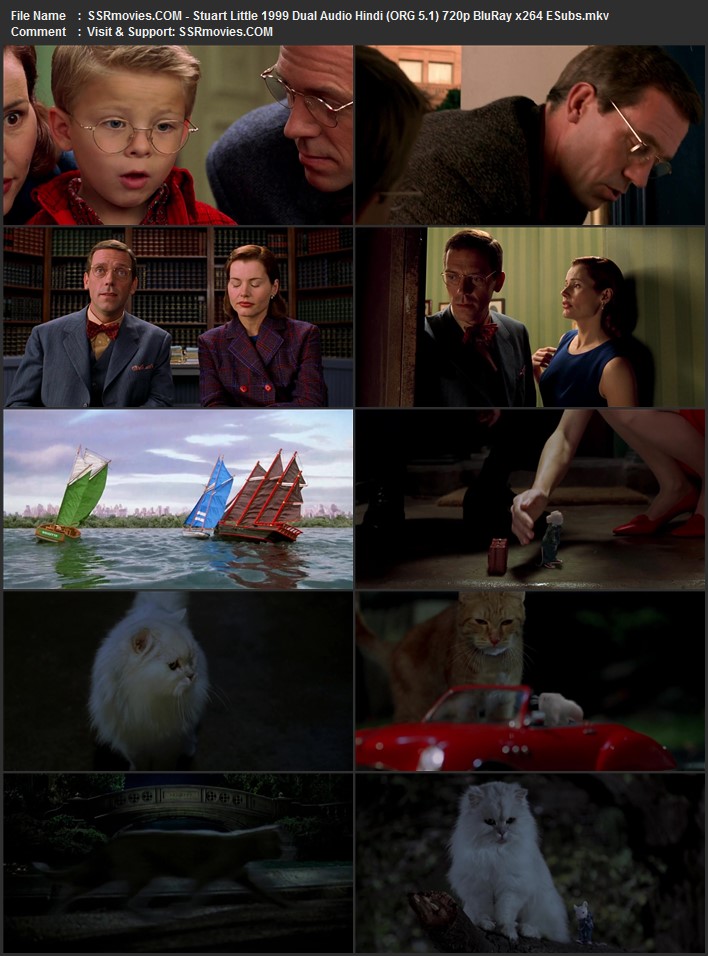 Stuart Little 1999 Dual Audio Hindi (ORG 5.1) 1080p 720p 480p BluRay x264 ESubs Full Movie Download