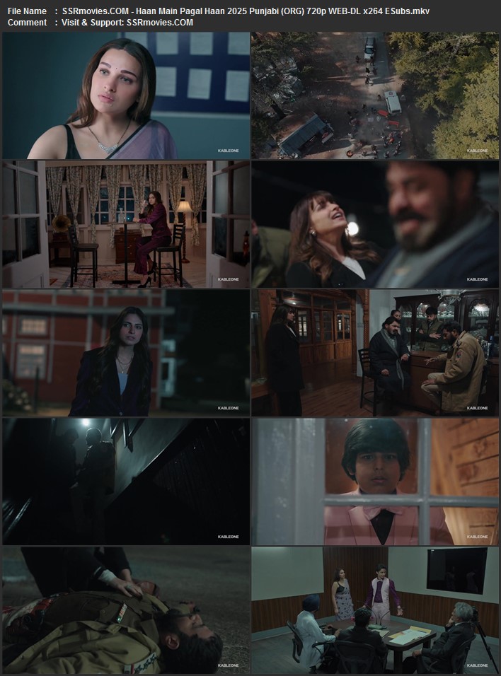 Haan Main Pagal Haan 2025 Punjabi (ORG) 1080p 720p 480p WEB-DL x264 ESubs