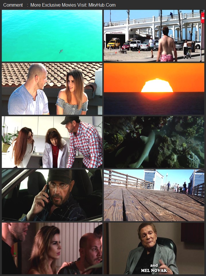 Apex Predators 2021 Dual Audio [Hindi-English] ORG 2.0 720p WEB-DL x264 ESubs Download